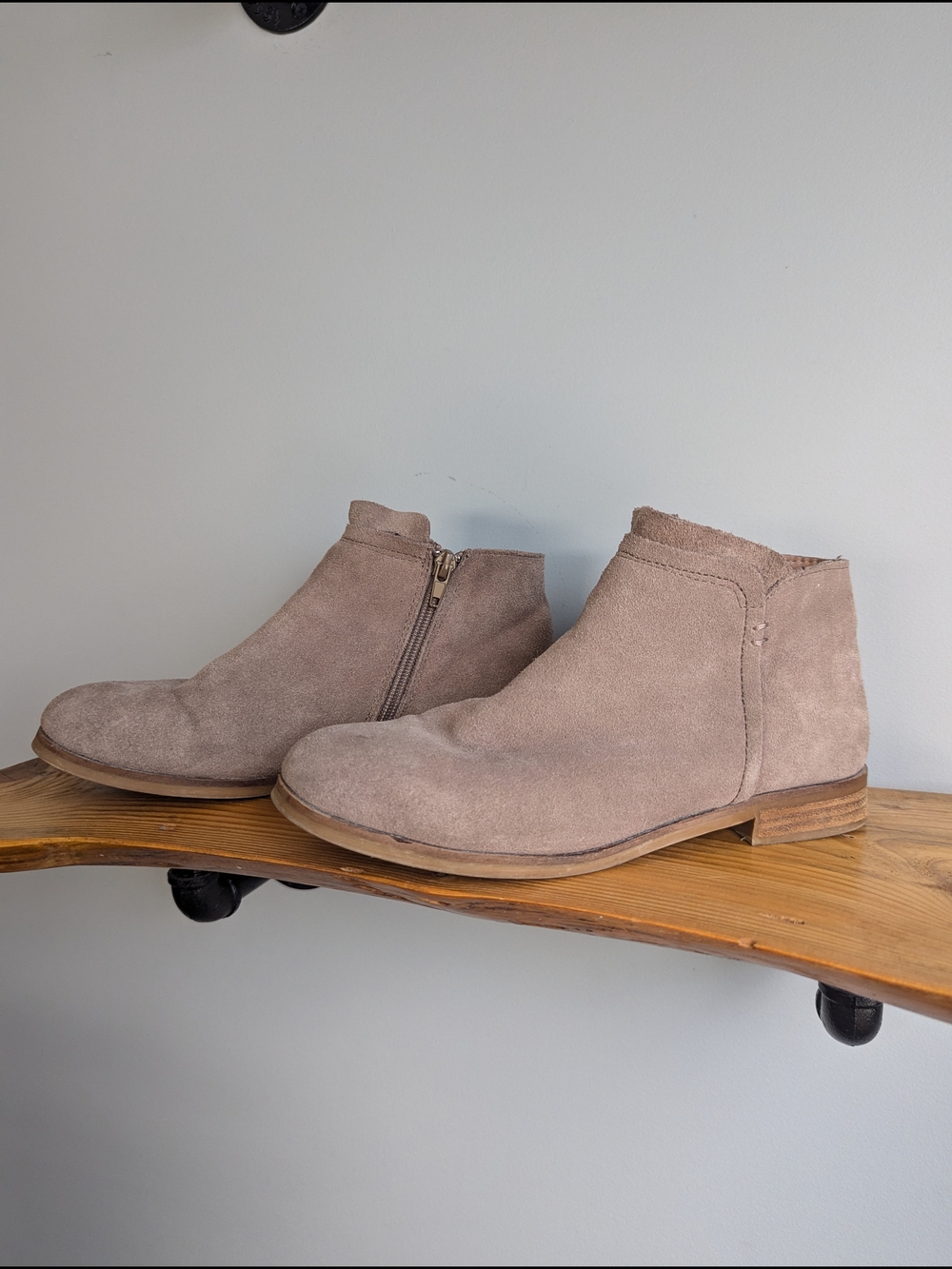 Steve Madden Suede Ankle Boots in Taupe
